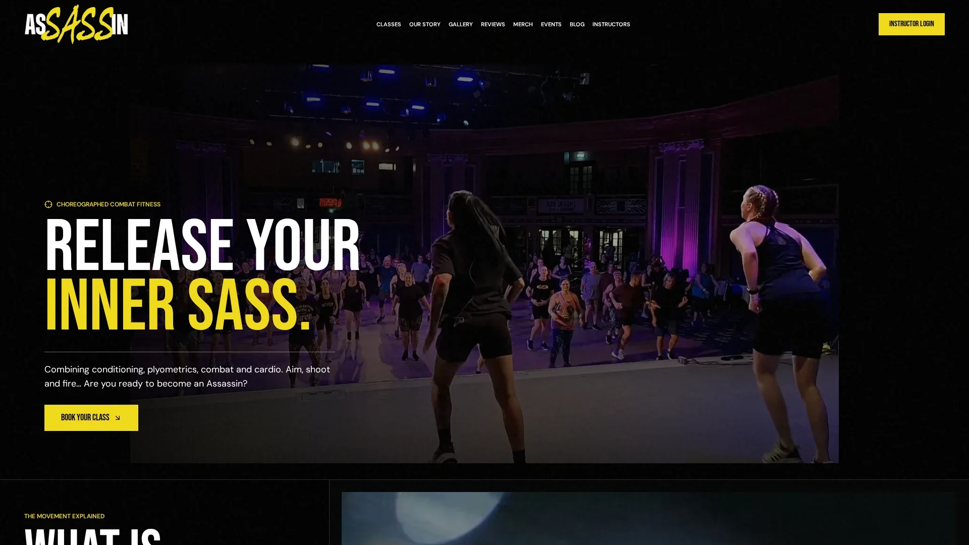 Assassin Fitness website designed by E.A Profit Improvements