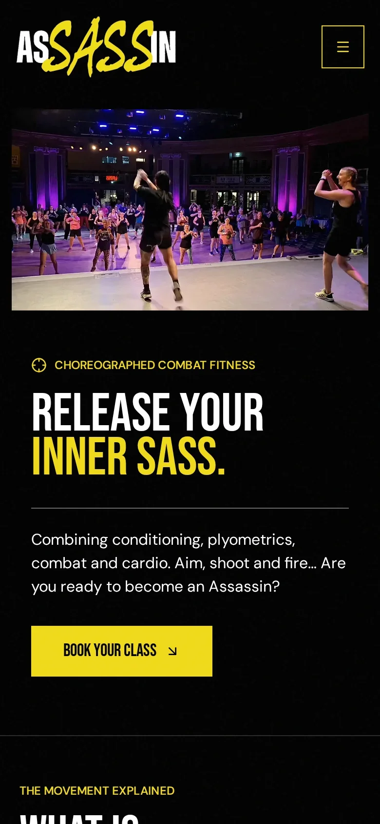 Assassin Fitness mobile website by E.A Profit Improvements